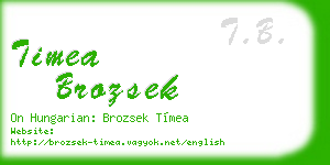 timea brozsek business card